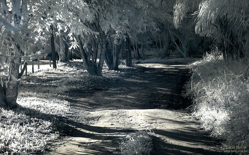 Imagem em infravermelho do Pico do Corcovado de Ubatuba