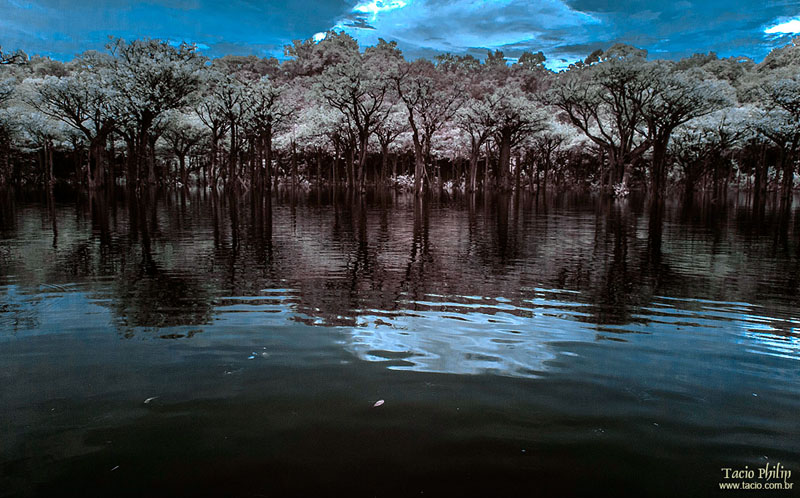 Imagem em infravermelho Rio Uatumã, em Manaus