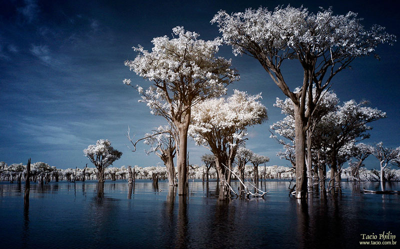 Imagem em infravermelho Rio Uatumã, em Manaus